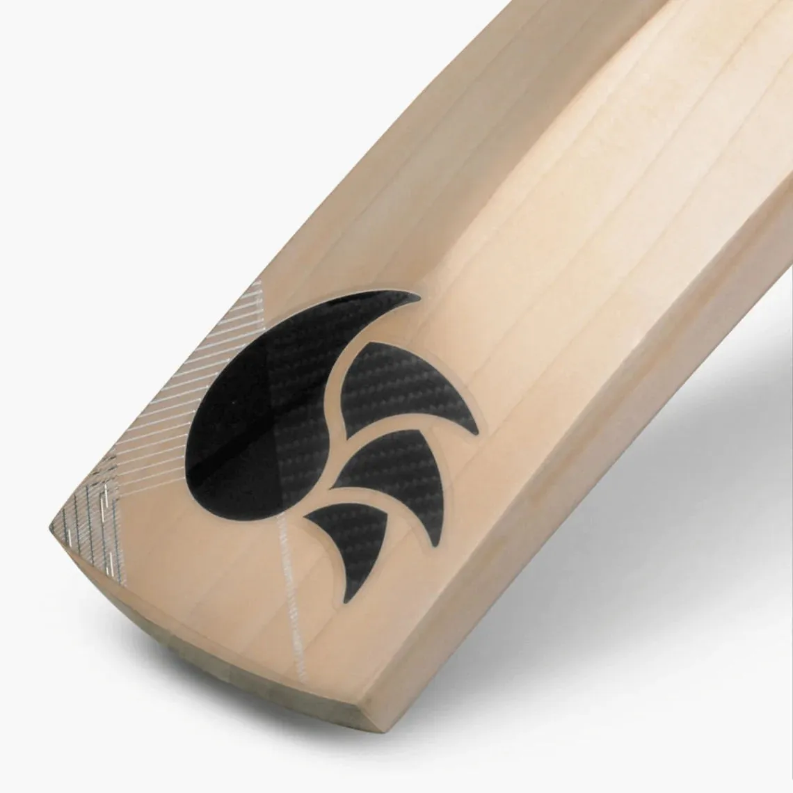 DSC Xlite 2.0 English Willow Cricket Bat -SH