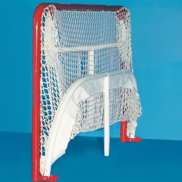 EZ Goal Hockey Goal with Backstop