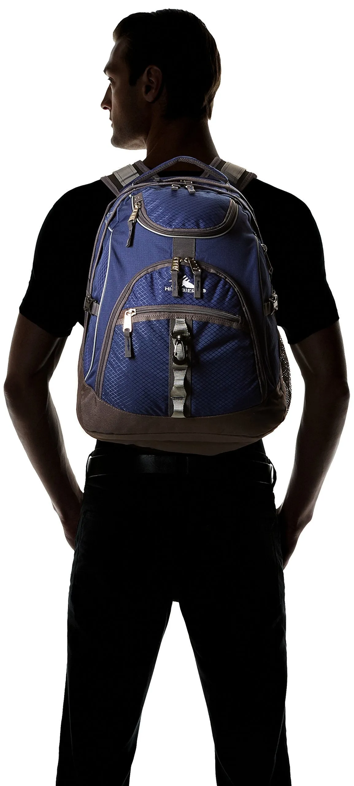 High Sierra Access Backpack