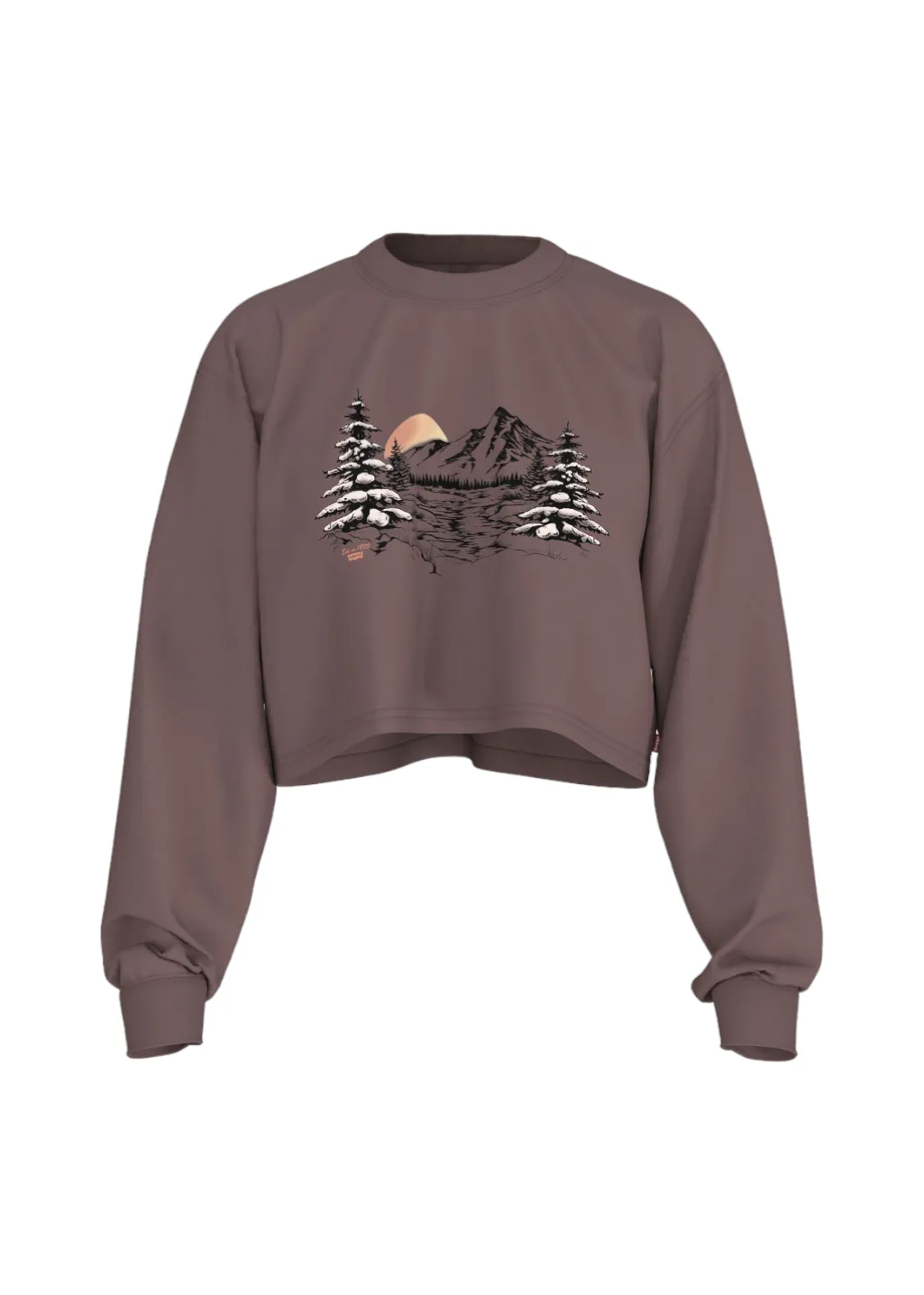 Levi's - GR Crop LS Football Tee - Snowy Lake Rose Taupe