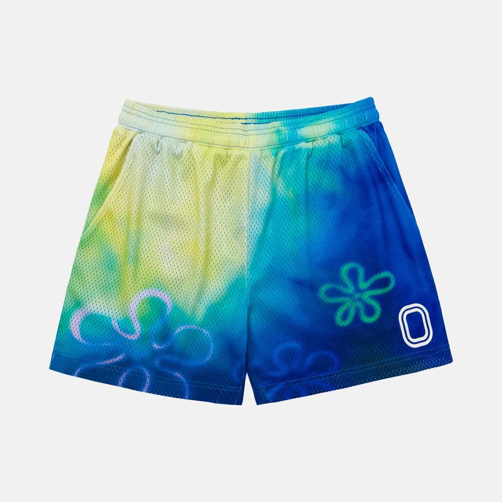 Spongebob Sky Shorts