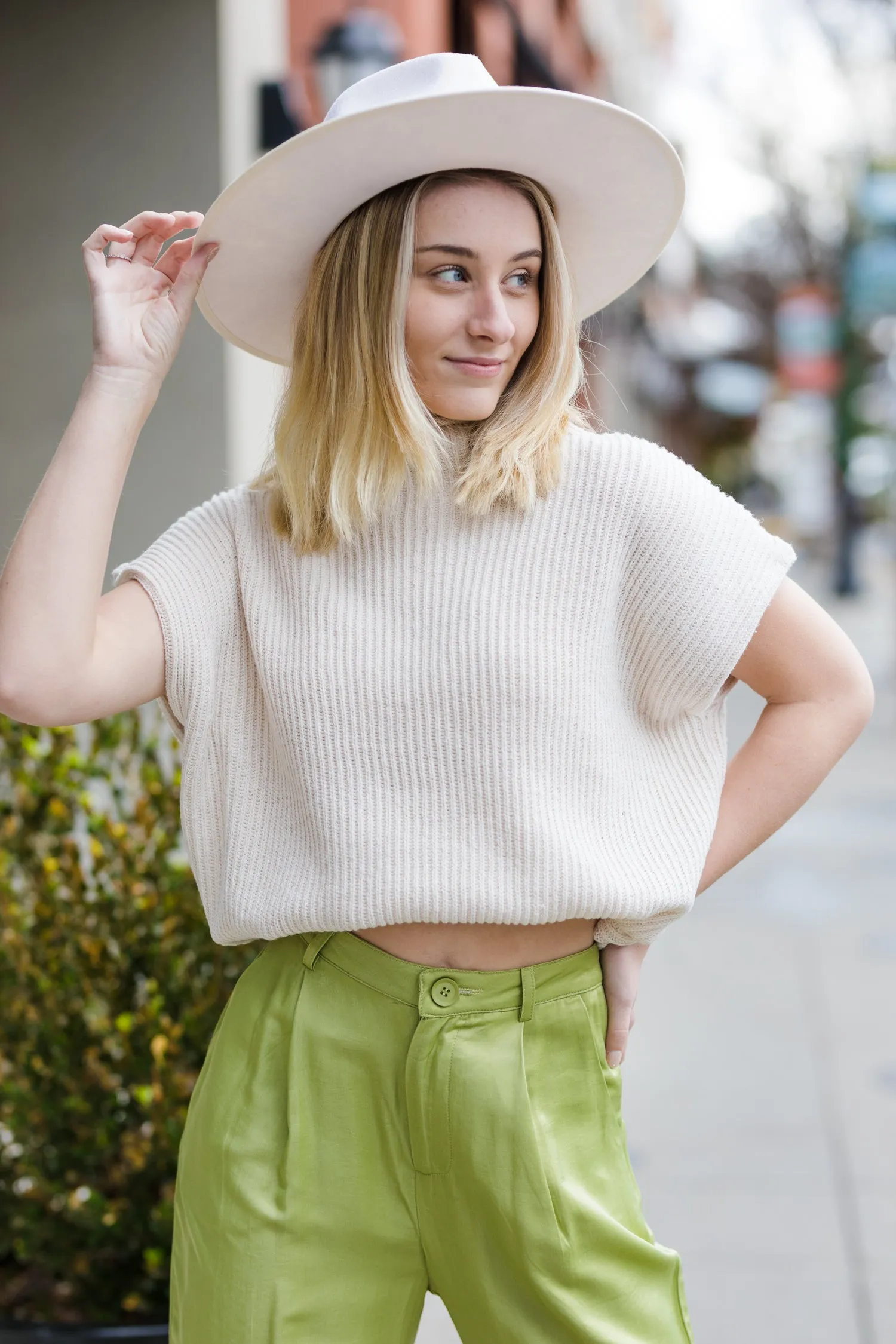 The Case in Point Turtle Neck Sweater Vest